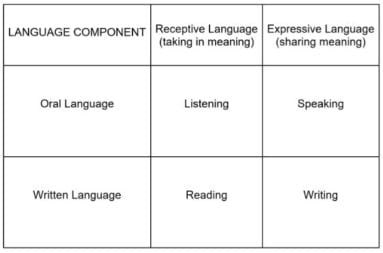 Language based learning disability - Wings to Soar Online Academy